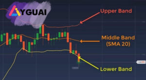 Bollinger Bands là gì? Hướng dẫn sử dụng chỉ báo trong phân tích chứng khoán