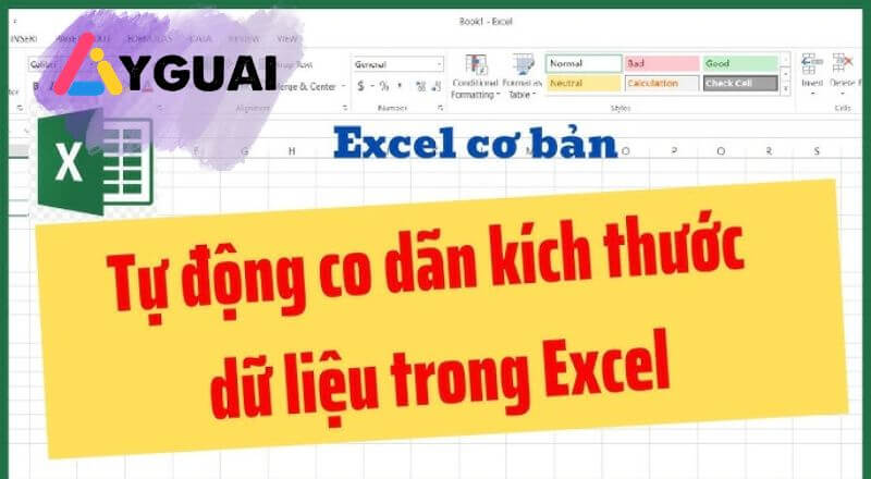 Cách thiết lập auto co dãn kích thước dữ liệu trong Excel