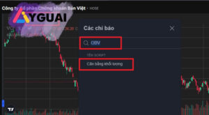 Chỉ báo OBV là gì? Hướng dẫn sử dụng On-Balance Volume trong chứng khoán
