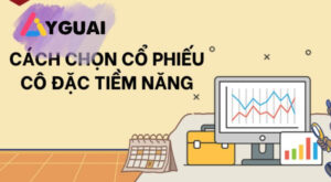 Cổ phiếu cô đặc là gì, hướng dẫn nhận biết và đầu tư hiệu quả