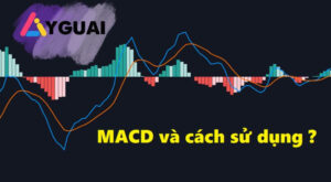 MACD là gì? Cách sử dụng chỉ báo MACD để xác định điểm mua bán cổ phiếu