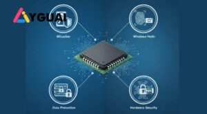 TPM là gì và vai trò của chip bảo mật TPM trên máy tính