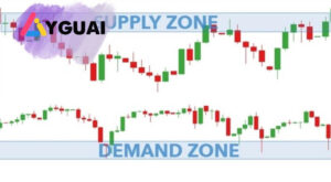Vùng cung cầu trong chứng khoán là gì? Hướng dẫn nhận diện và giao dịch hiệu quả